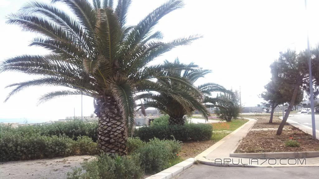 Apulia 70 Holidays - & Experiences